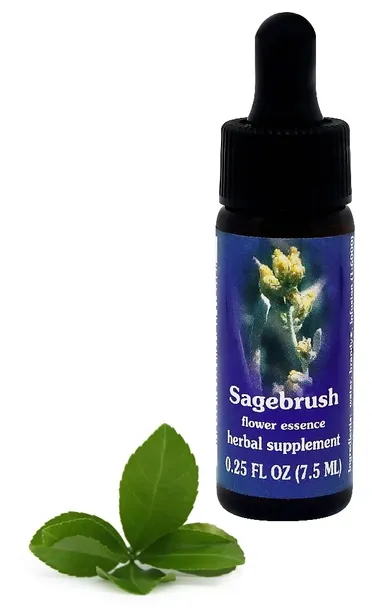 fes-sagebrush-75-ml-krople