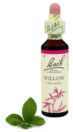38-willow-wierzba-biala-20-ml-nelson-bach