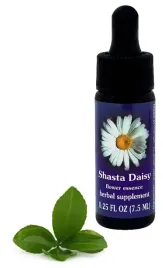 fes-shasta-daisy-75-ml-krople