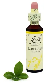 17-hornbeam-grab-pospolity-20-ml-nelson-bach