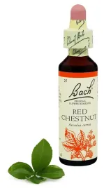 25-red-chestnut-kasztanowiec-20-ml-nelson-bach