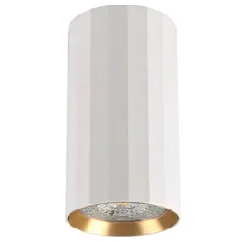 lampa-oprawa-sufitowa-punktowa-tuba-biala-zlota-nowoczesna-10-cm-polux