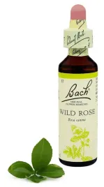 37-wild-rose-dzika-roza-20-ml-nelson-bach