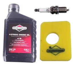 olej-filtr-swieca-do-briggs-gorno-450-500-550-gabk