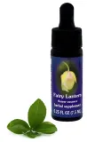 fes-fairy-lantern-75-ml-krople
