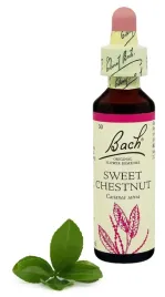 30-sweet-chestnut-kasztan-20-ml-nelson-bach