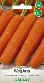 marchew-wczesna-typ-nantes-galaxy-5g-d2-wegana-nasiona