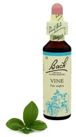 32-vine-winorosl-wlasciwa-20-ml-nelson-bach-promocja