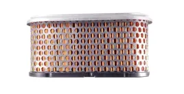 filtr-powietrza-briggs-seria-260700-261700