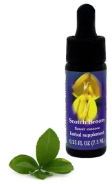 fes-scotch-broom-75-ml-krople