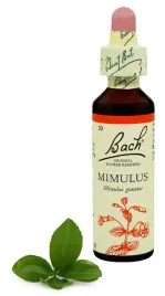 20-mimulus-kroplik-zolty-20-ml-nelson-bach
