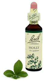 15-holly-ostrokrzew-kolczasty-20-ml-nelson-bach