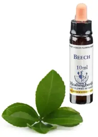 esencja-dr-bacha-3-beech-buk-pospolity-10ml
