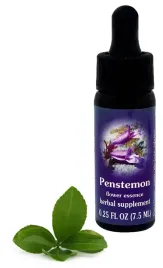 fes-penstemon-75-ml-krople