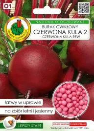 burak-cwiklowy-czerwona-kula-pnos-nasiona