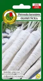 pnos-pietruszka-olomuncka-5g-nasiona