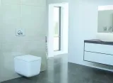 przycisk-splukujacy-do-wc-globe-chrom-mat-rodzaj-do-wc