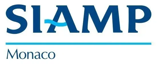 mechanizm-spustowy-siamp-switch-22