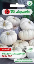 dynia-zwyczajna-ozdobna-baby-boo-biala-1g-legutko-nasiona