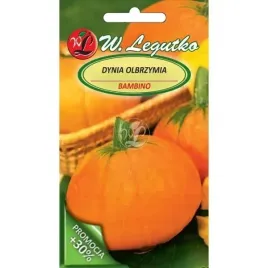 dynia-bambino-srednio-wczesna-legutko-nasiona