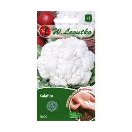 kalafior-igloo-bialy-50-szt-nasiona-legutko