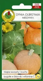 nasiona-dynia-olbrzymia-mix-6g-pnos-nasiona