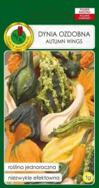 dynia-ozdobna-autumn-wings-mieszana-1-g-pnos-nasiona