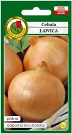 cebula-lawica-5g-nasiona-pozna-plenna-odporna-nasiona