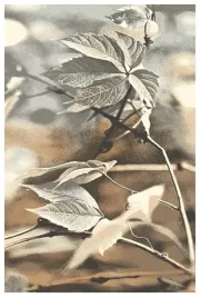 dywan-agnella-natural-ramo-bez-133x190-tar271