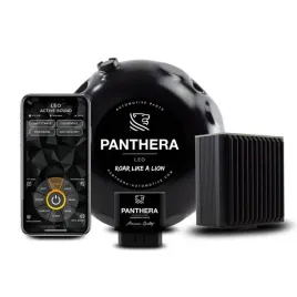 aktywny-wydech-panthera-leo-active-sound-6-0-hyundai-equus