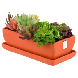 doniczka-kaktusiarka-ceramiczna-nowoczesna-pomaranczowy-mat-29cm-prostokat