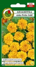 aksamitka-pelna-niska-petite-gold-1-g-pnos-nasiona