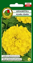 aksamitka-pelna-wysoka-alaska-jasnocytrynowa-1g-nasiona