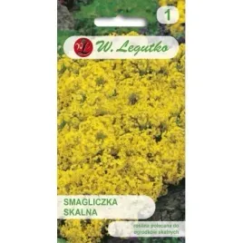 smagliczka-skalna-zolta-05g-roslina-wieloletnia-legutko-nasiona