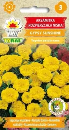 aksamitka-rozppierzchla-gypsy-sunshine-1-g-nasiona