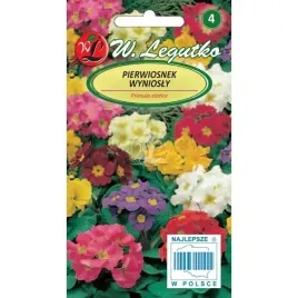 pierwiosnek-wyniosly-mix-kolorow-legutko-nasiona