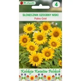 slonecznik-ozdobny-niski-polino-gold-1g-legutko-nasiona
