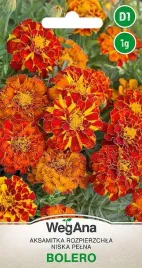 aksamitka-rozpierzchla-bolero-niska-wegana-nasiona