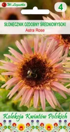 slonecznik-ozdobny-sredniowysoki-astra-rose-legutko-nasiona