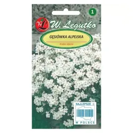 gesiowka-alpejska-biala-03g-legutko-nasiona
