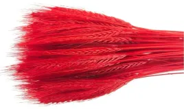 czerwone-pszenzyto-zboze-czerwien-palma-40-klosow-wielkanoc-40-cm-dekoracja