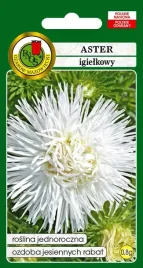 aster-igielkowy-0-8g-bialy-pnos-nasiona