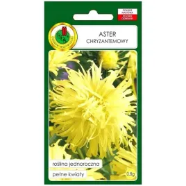 aster-chryzantemowy-zolty-nasiona-08g-pnos-nasiona
