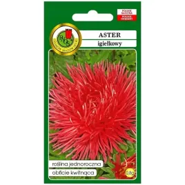 aster-igielkowy-czerwony-nasiona-08g-pnos-nasiona