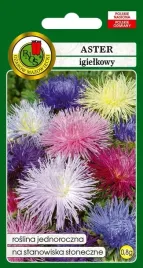 aster-igielkowy-mieszany-08-g-pnos-nasiona