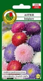 aster-ksiazecy-mieszany-08-g-pnos-nasiona