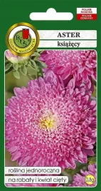 aster-ksiazecy-rozowy-08-g-pnos-nasiona