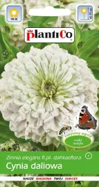 plantico-cynia-wytworna-daliowa-biala-purity-1g-nasiona