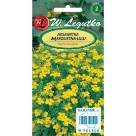 aksamitka-waskolistna-lulu-legutko-03g-nasiona