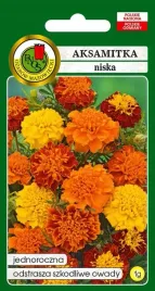 aksamitka-pelna-niska-mieszanka-1g-pnos-nasiona